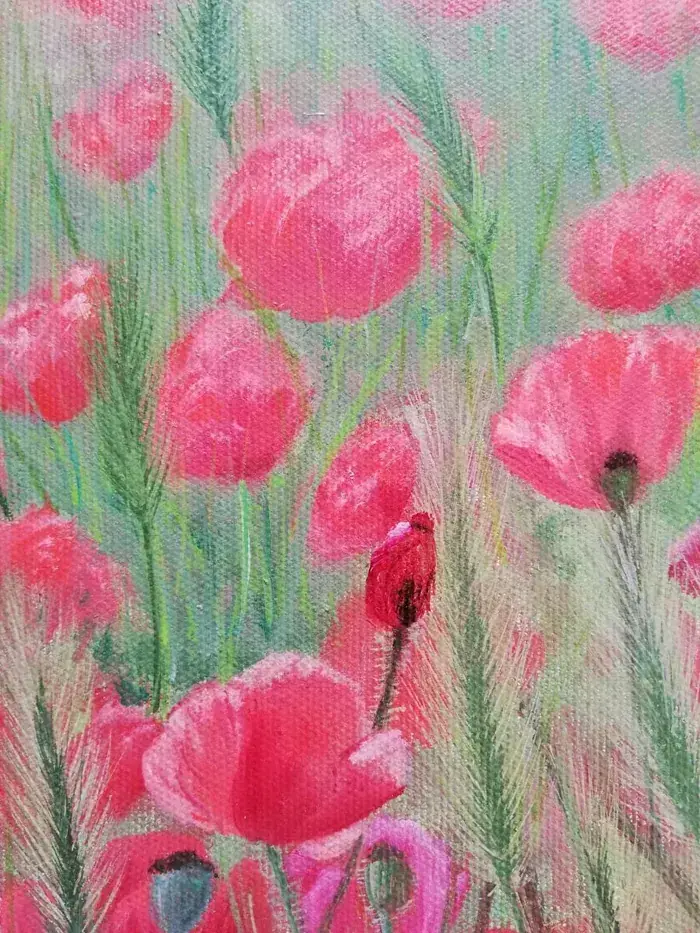 red poppy field